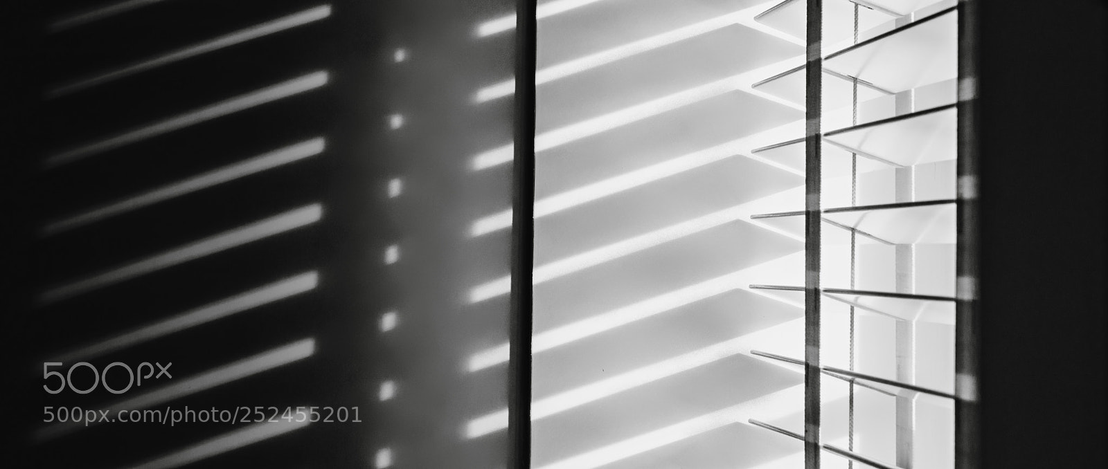 Sony a7R II sample photo. 49 shades of grey photography