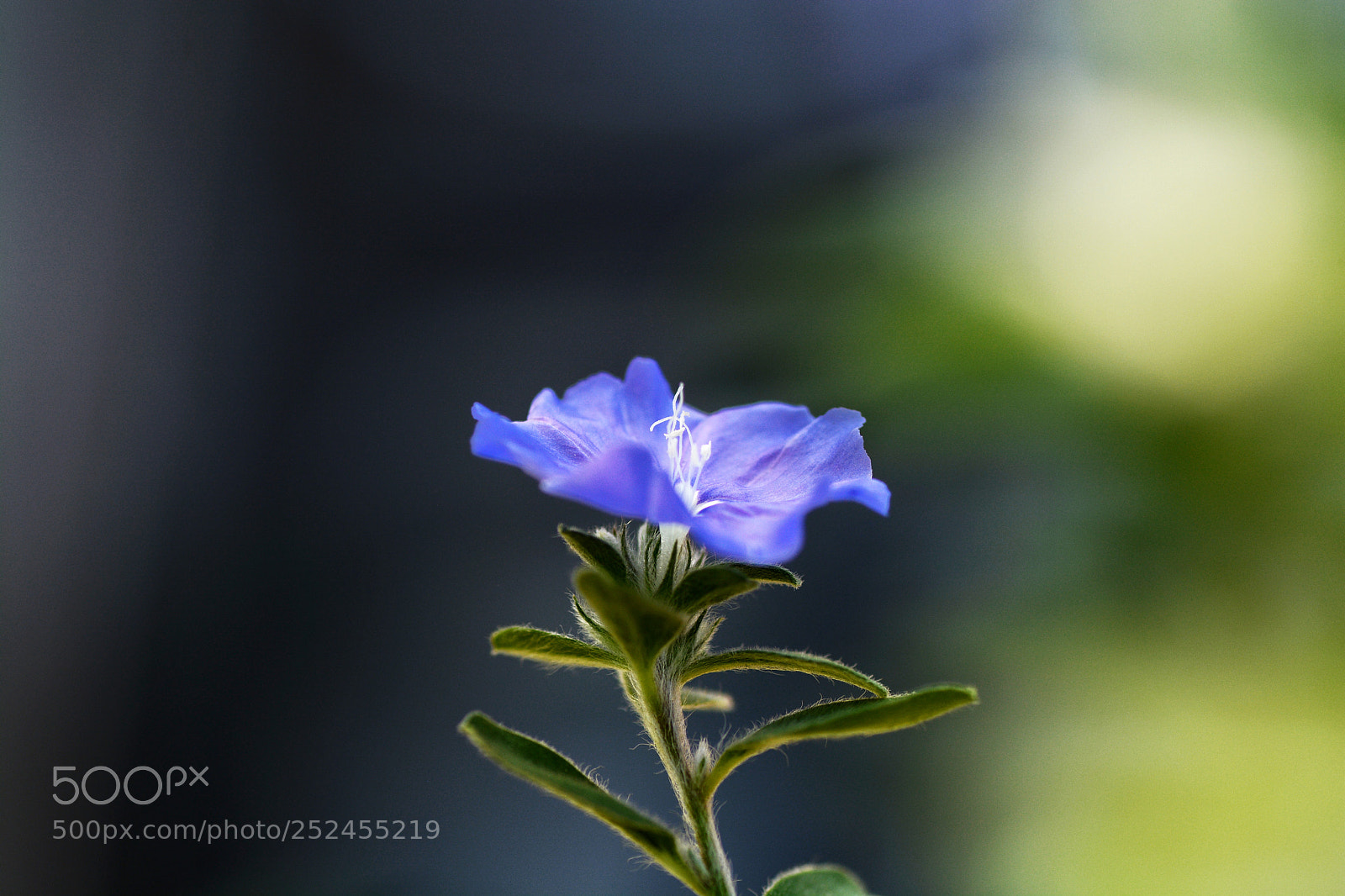 Nikon D7100 sample photo. Hkcnlv.hckcnlyd photography