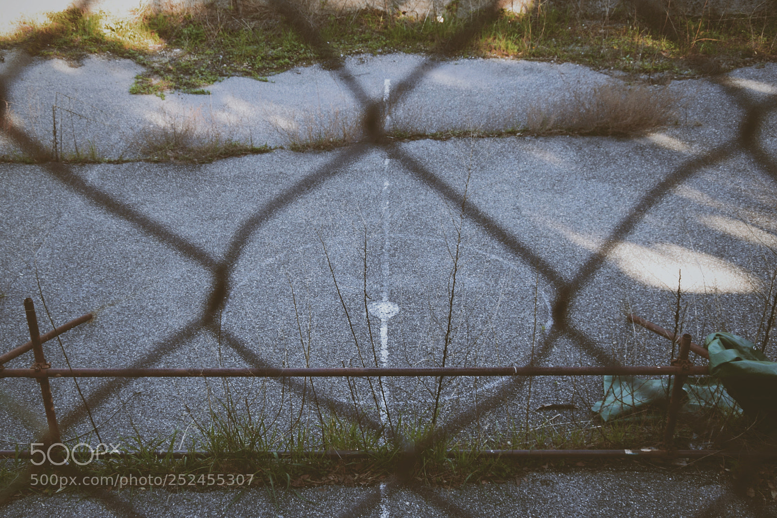 Nikon D5300 sample photo. Untitled photography