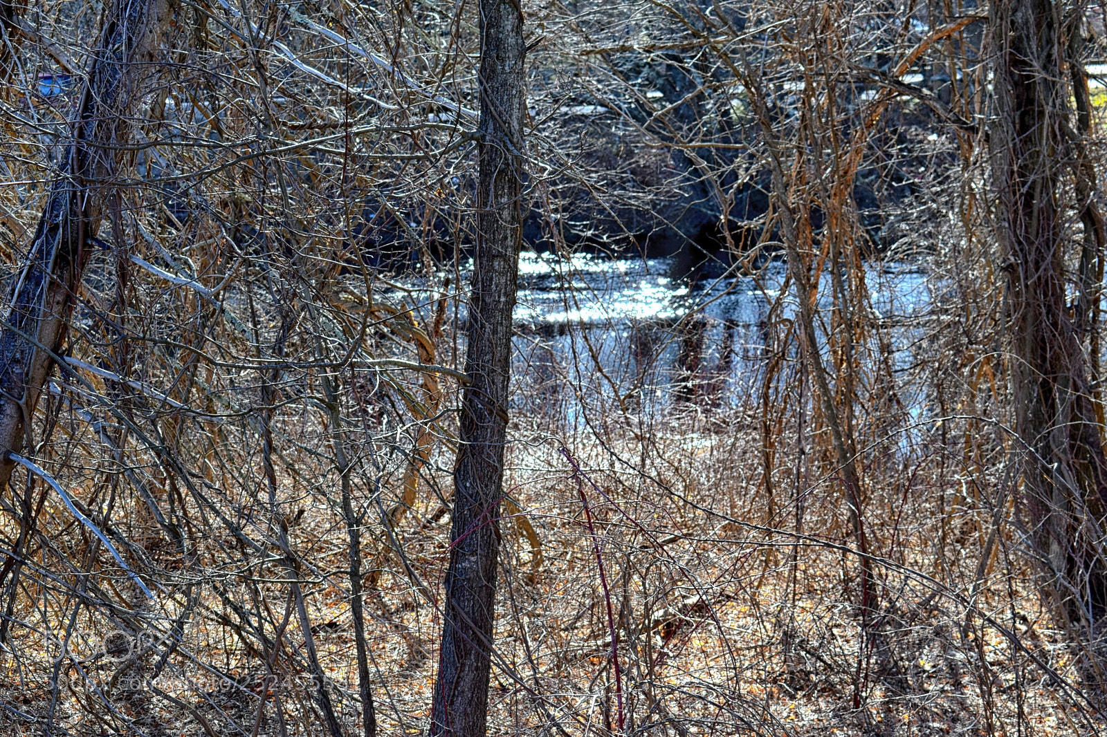 Nikon D3300 sample photo. Beaver brook photography