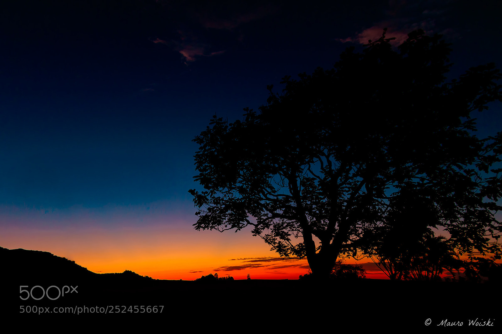 Canon EOS 5DS R sample photo. Árvore solitaria photography
