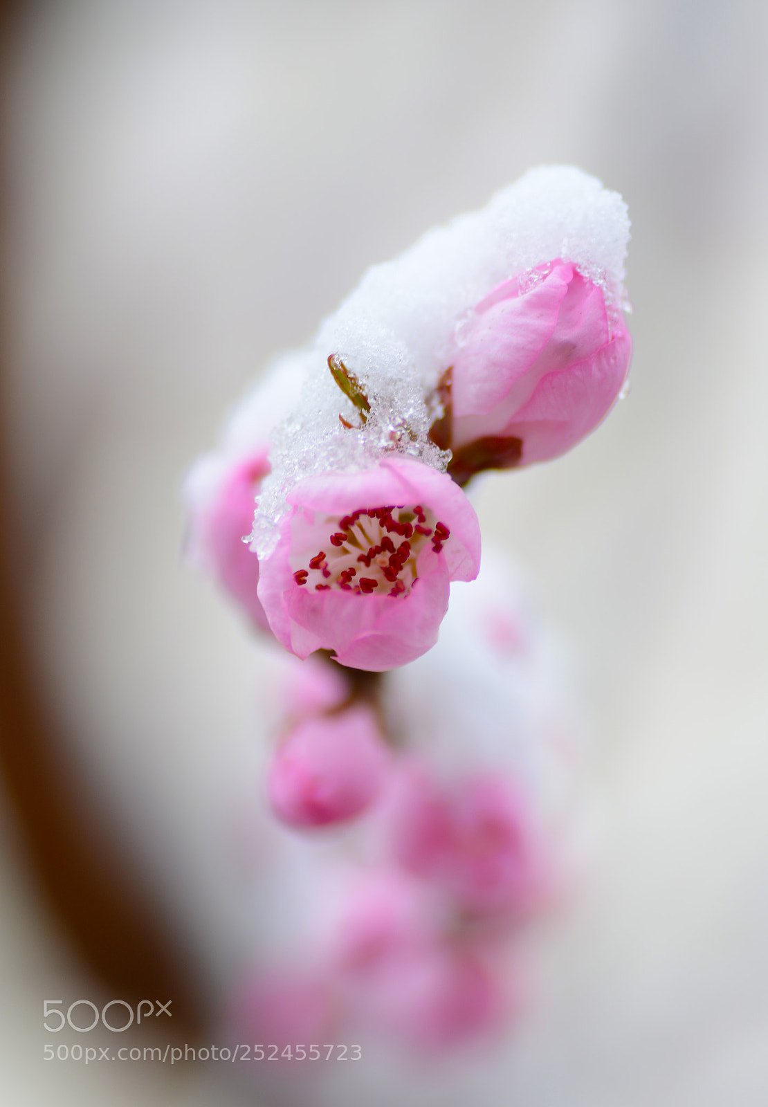 Nikon D7100 sample photo. Untitled photography