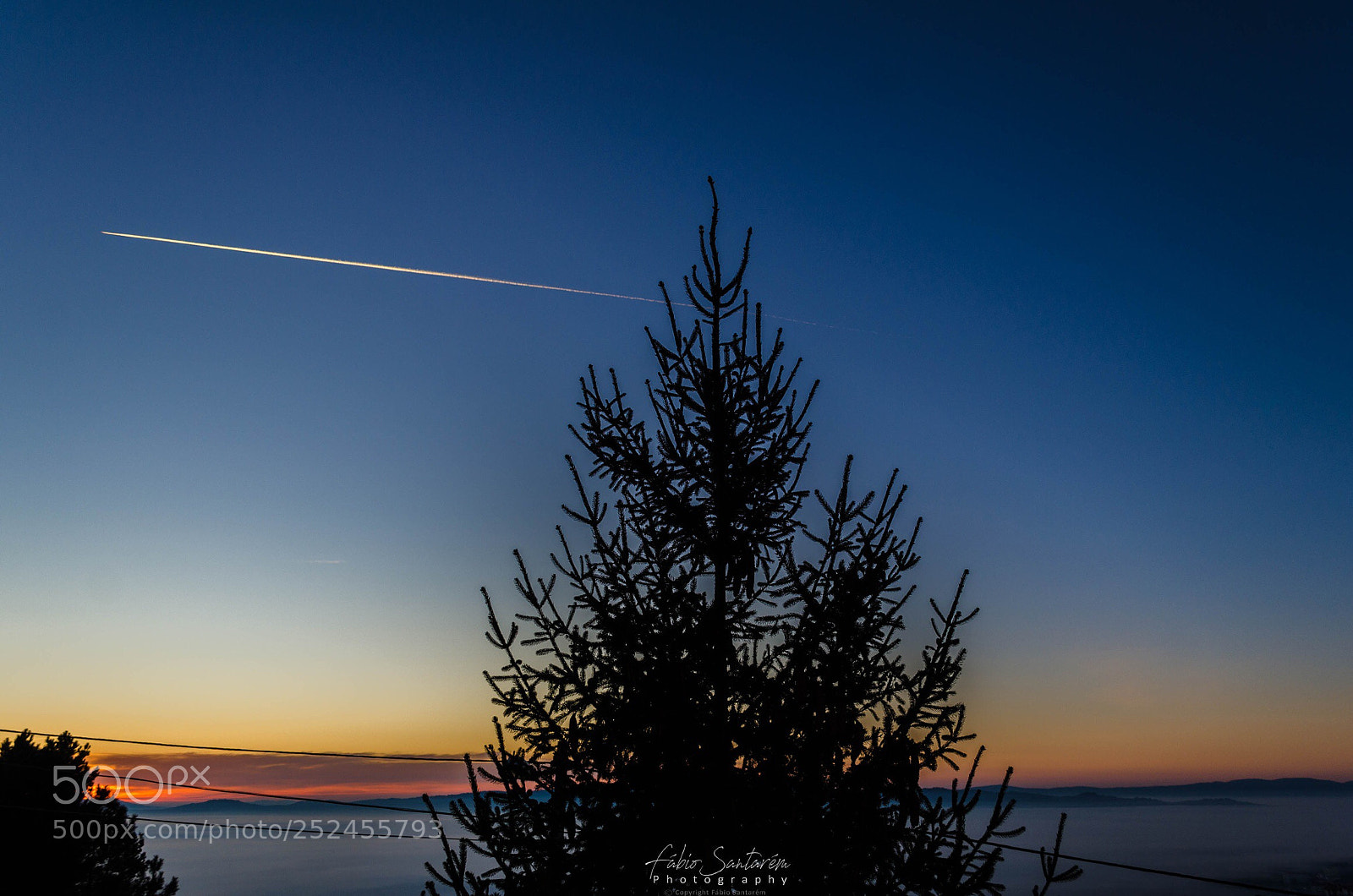 Nikon D7000 sample photo. Good morning! photography