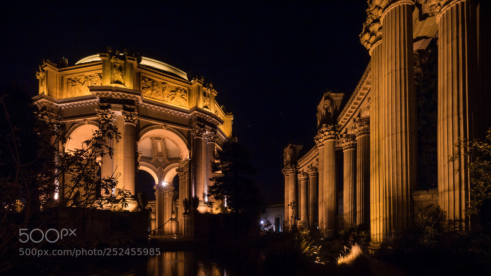 Canon EOS 650D (EOS Rebel T4i / EOS Kiss X6i) sample photo. Palace of fine arts photography