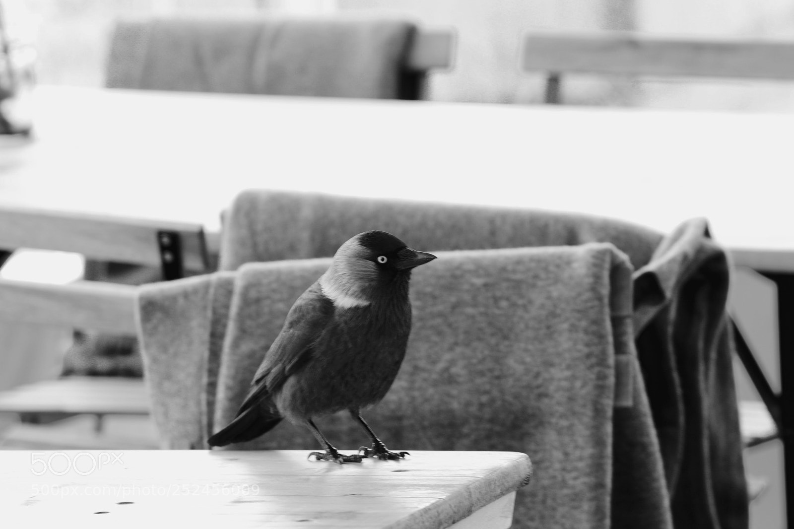 Canon EOS 80D sample photo. Untitled photography