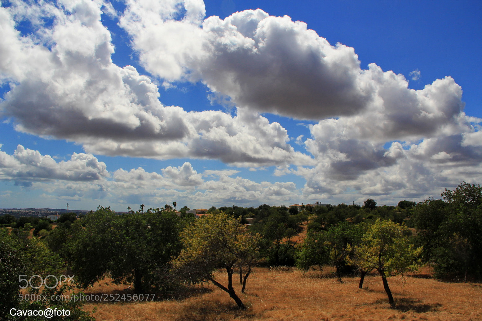 Canon EF-S 18-135mm F3.5-5.6 IS sample photo. Nuvens photography