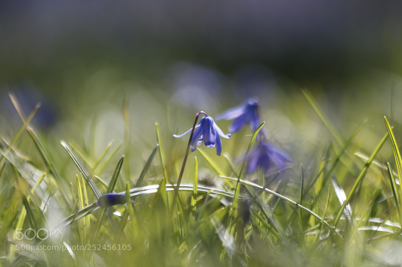 Canon EOS 7D Mark II sample photo. Untitled photography