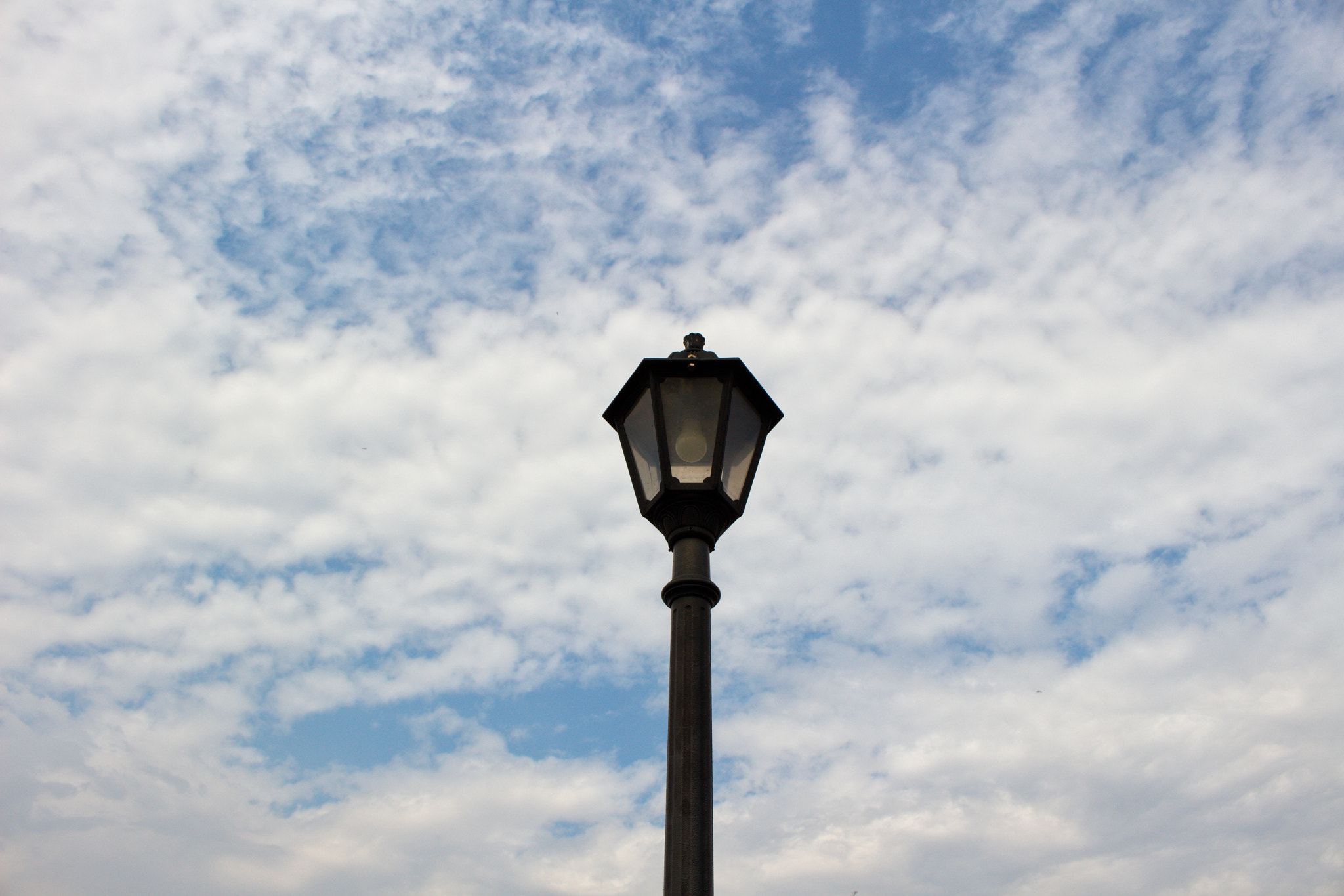Canon EOS 100D (EOS Rebel SL1 / EOS Kiss X7) sample photo. Standin' tall photography
