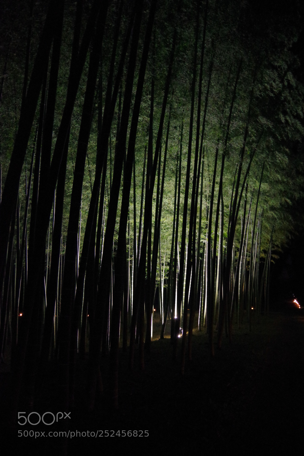 Pentax K-70 sample photo. Untitled photography