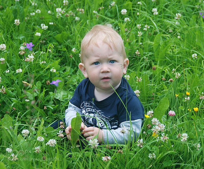 Nikon D80 sample photo. W photography
