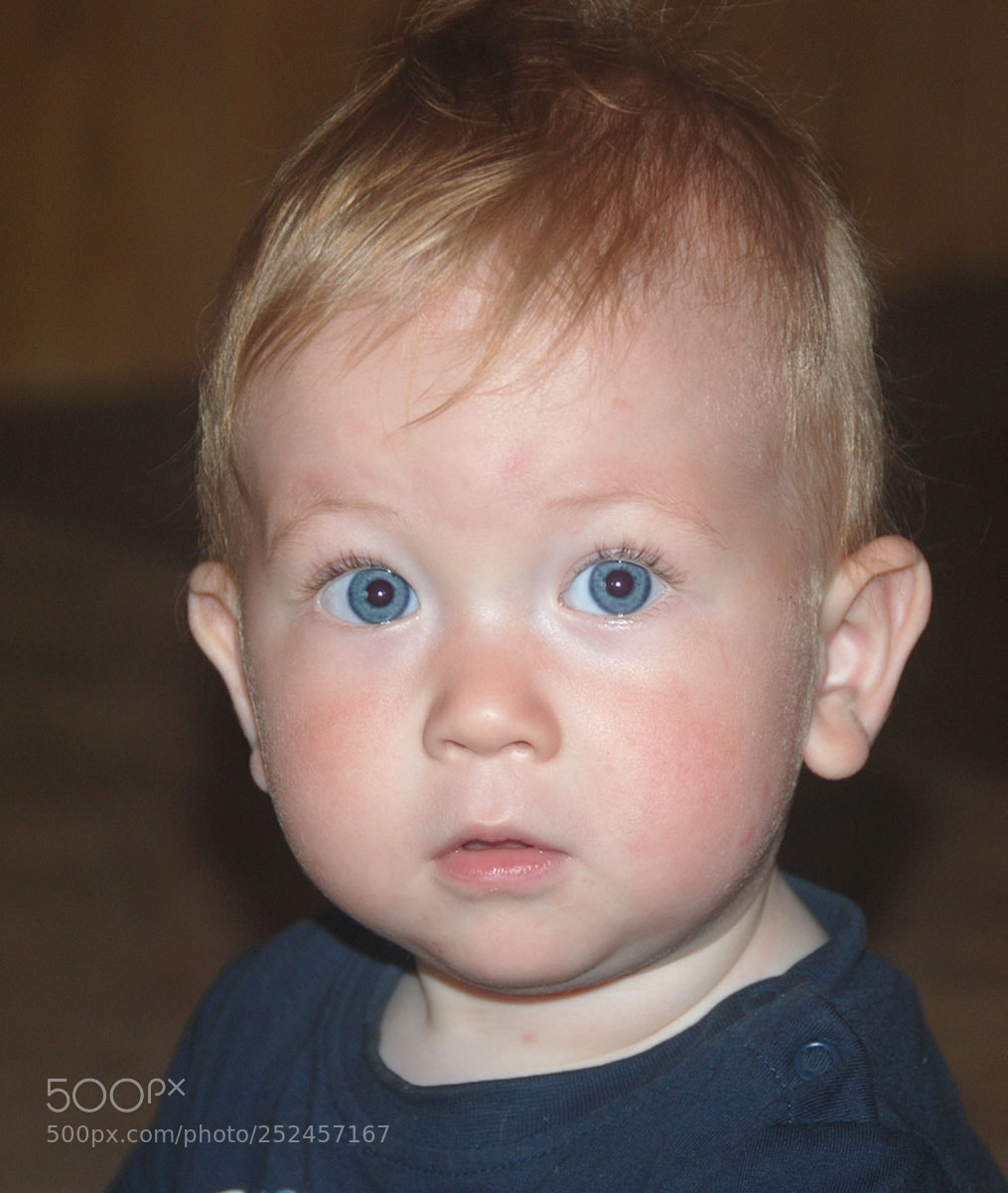 Nikon D80 sample photo. W photography