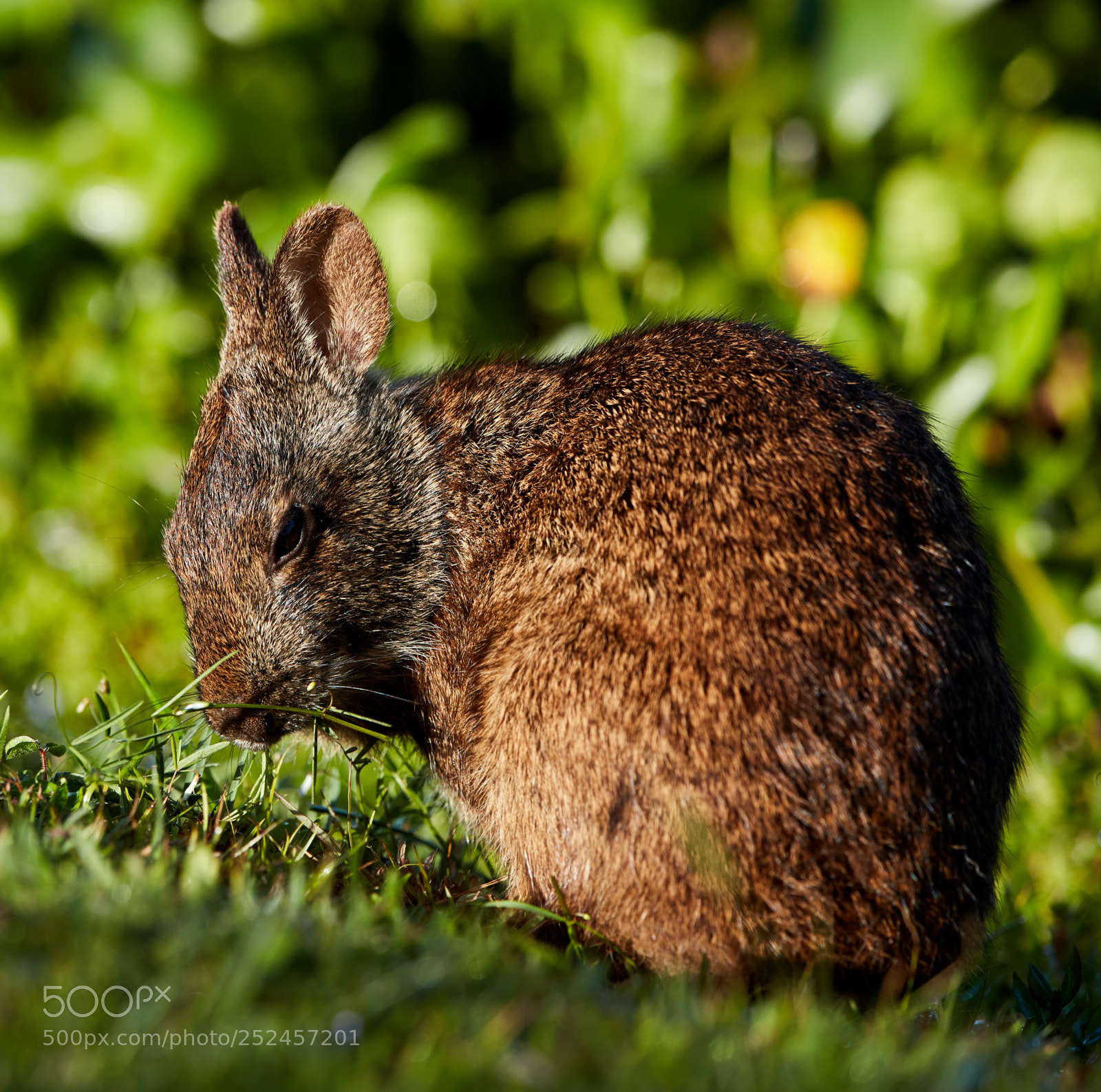 Canon EOS 5DS R sample photo. 04-06-18-0010709.jpg photography