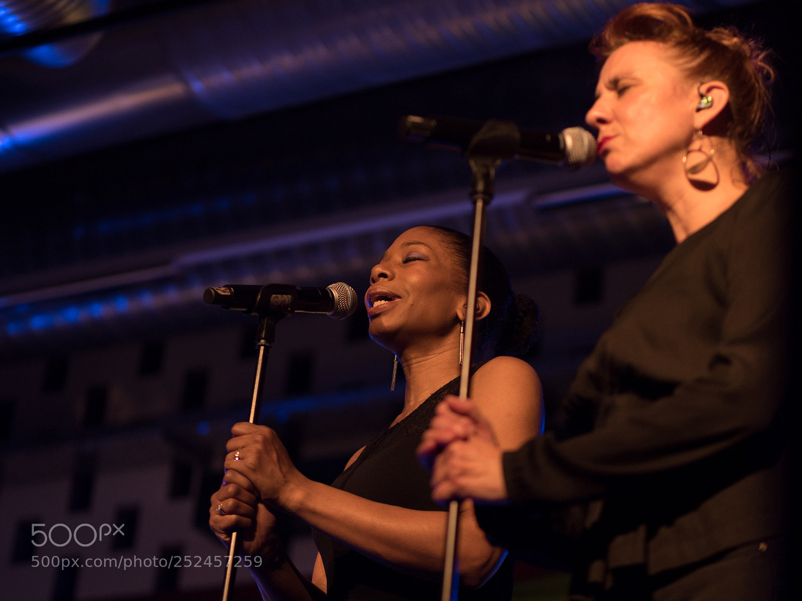 Panasonic Lumix DMC-GH4 sample photo. Concert 'liefde voor natuur' photography
