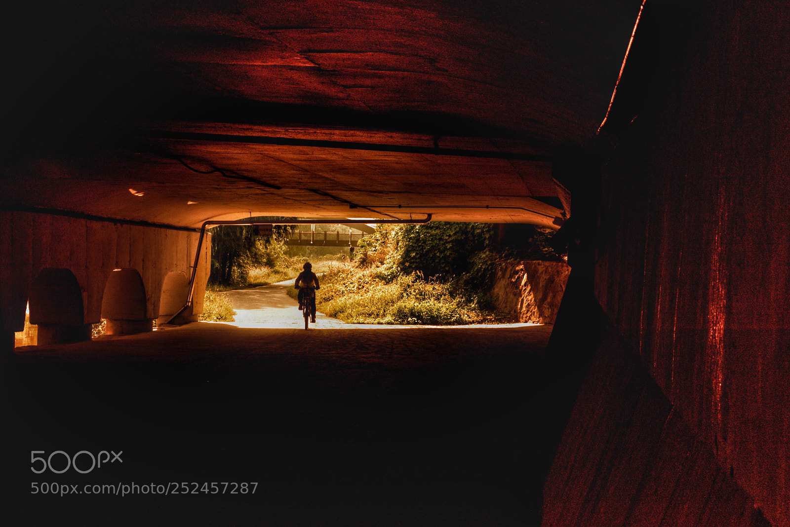 Nikon D810 sample photo. Untitled photography