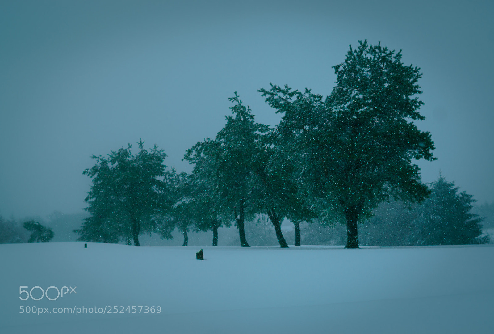 Sony a6000 sample photo. Snowy path photography