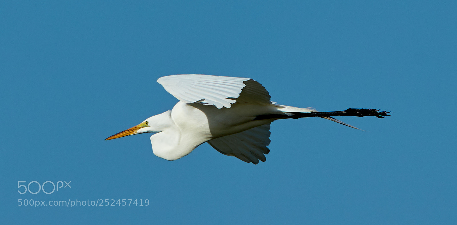 Canon EOS 5DS R sample photo. 04-06-18-0010702.jpg photography