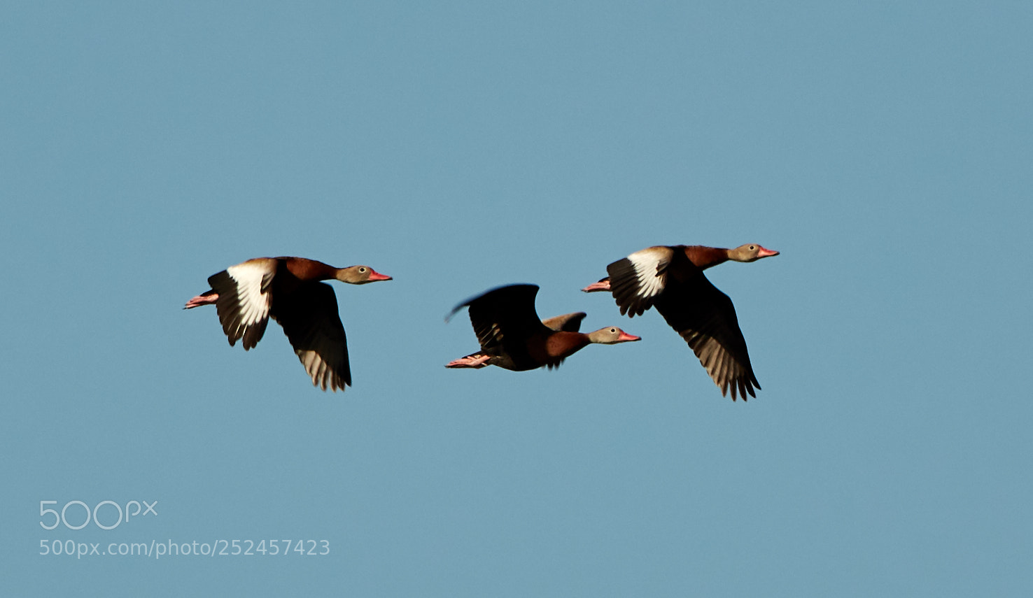 Canon EOS 5DS R sample photo. 04-06-18-0010699.jpg photography