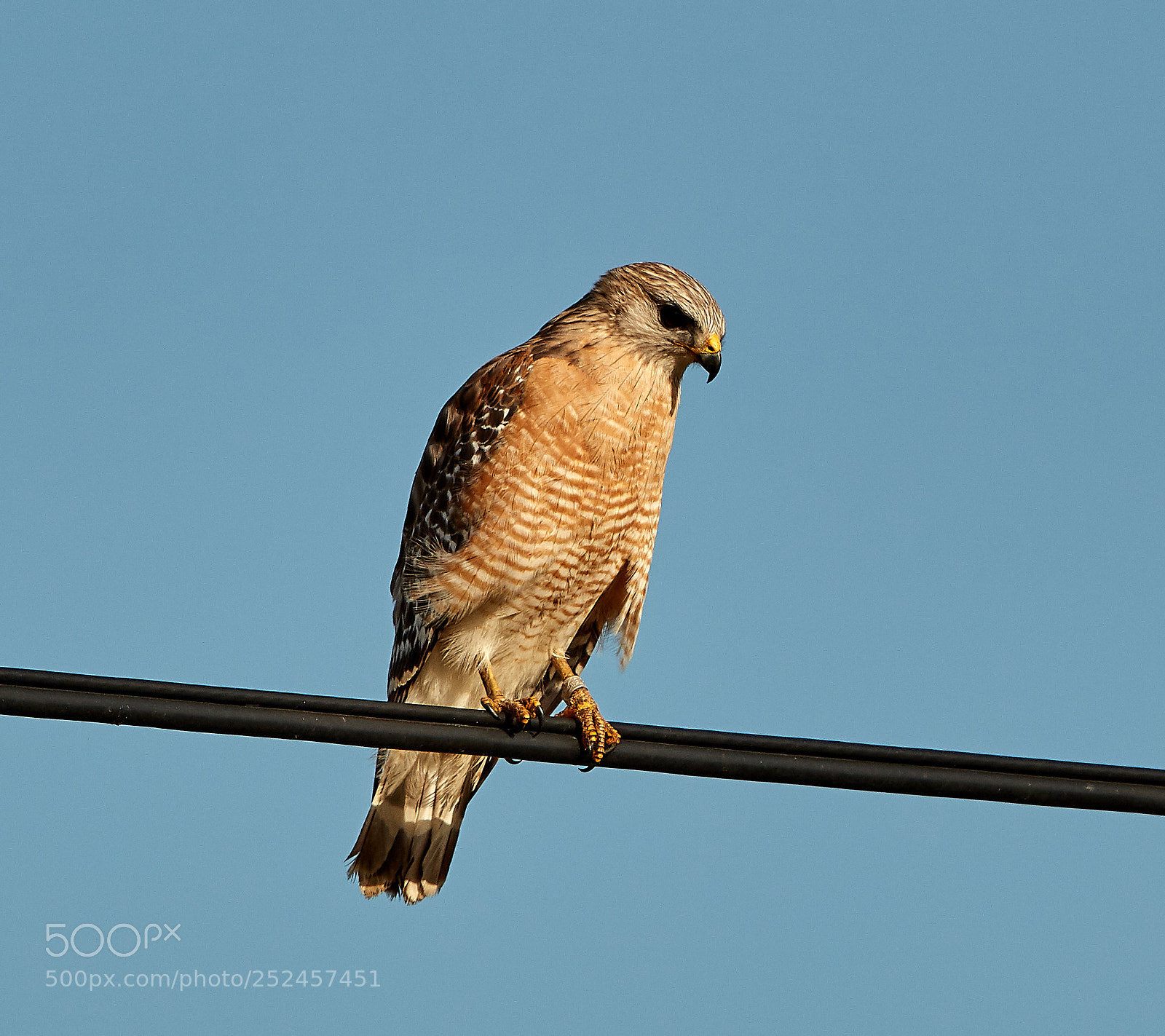 Canon EOS 5DS R sample photo. 04-06-18-0010692.jpg photography