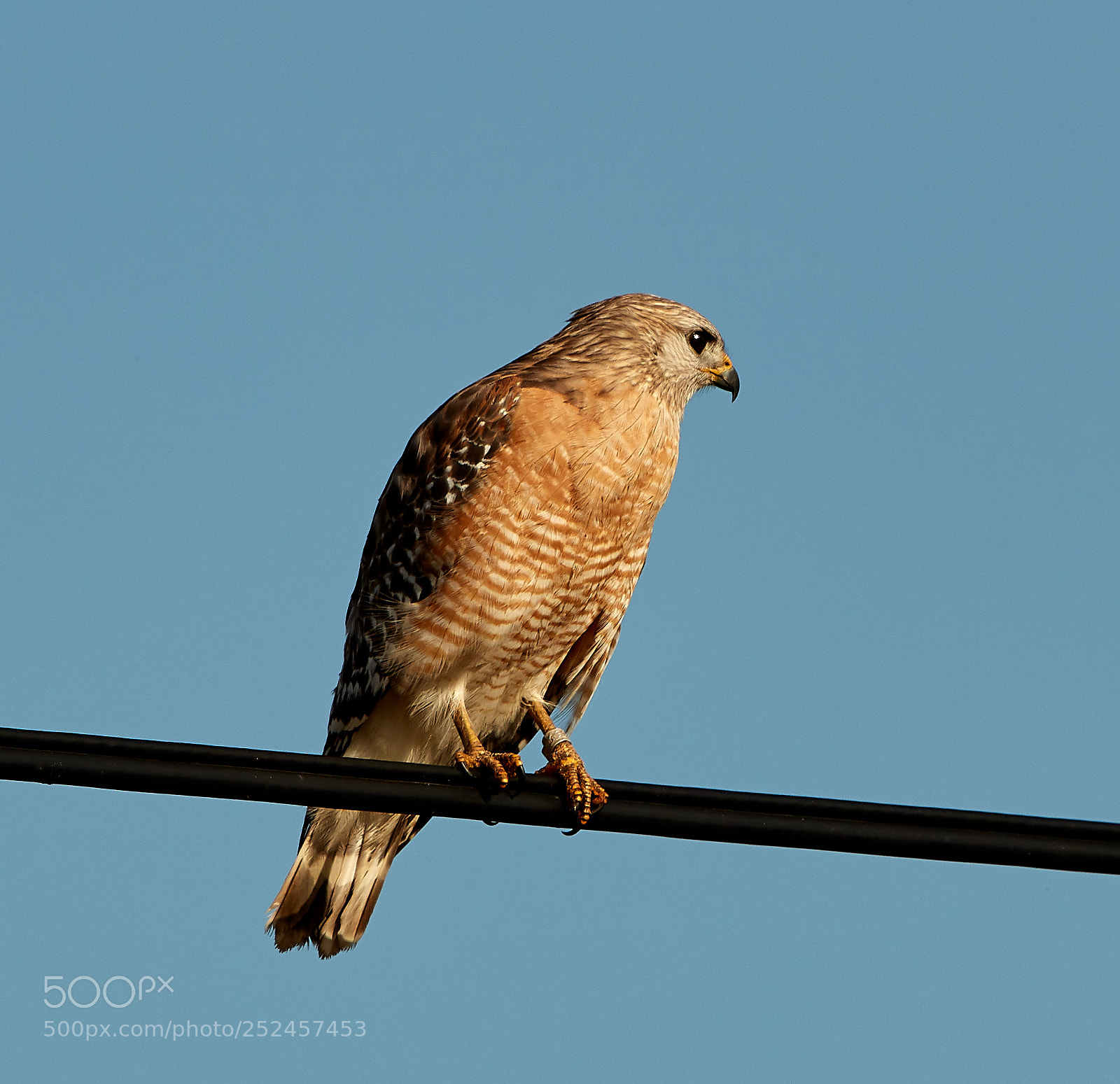 Canon EOS 5DS R sample photo. 04-06-18-0010690.jpg photography