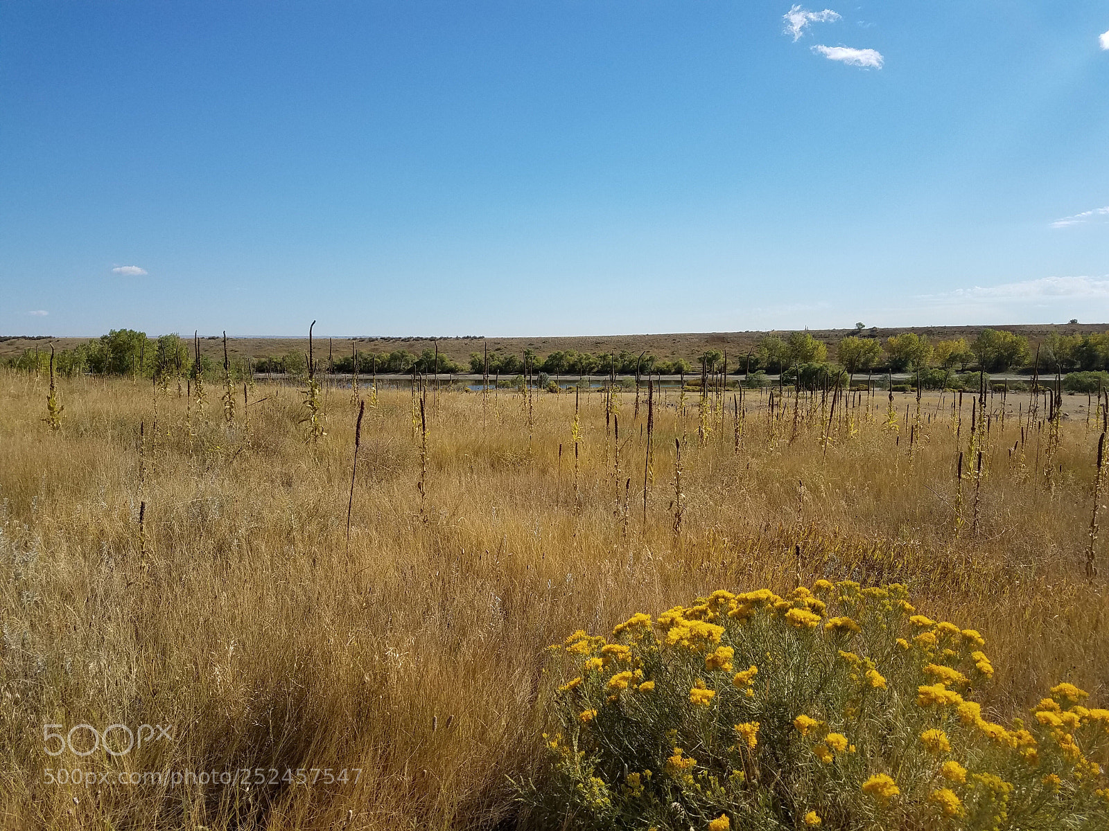 Samsung Galaxy S7 Edge sample photo. Open spaces photography
