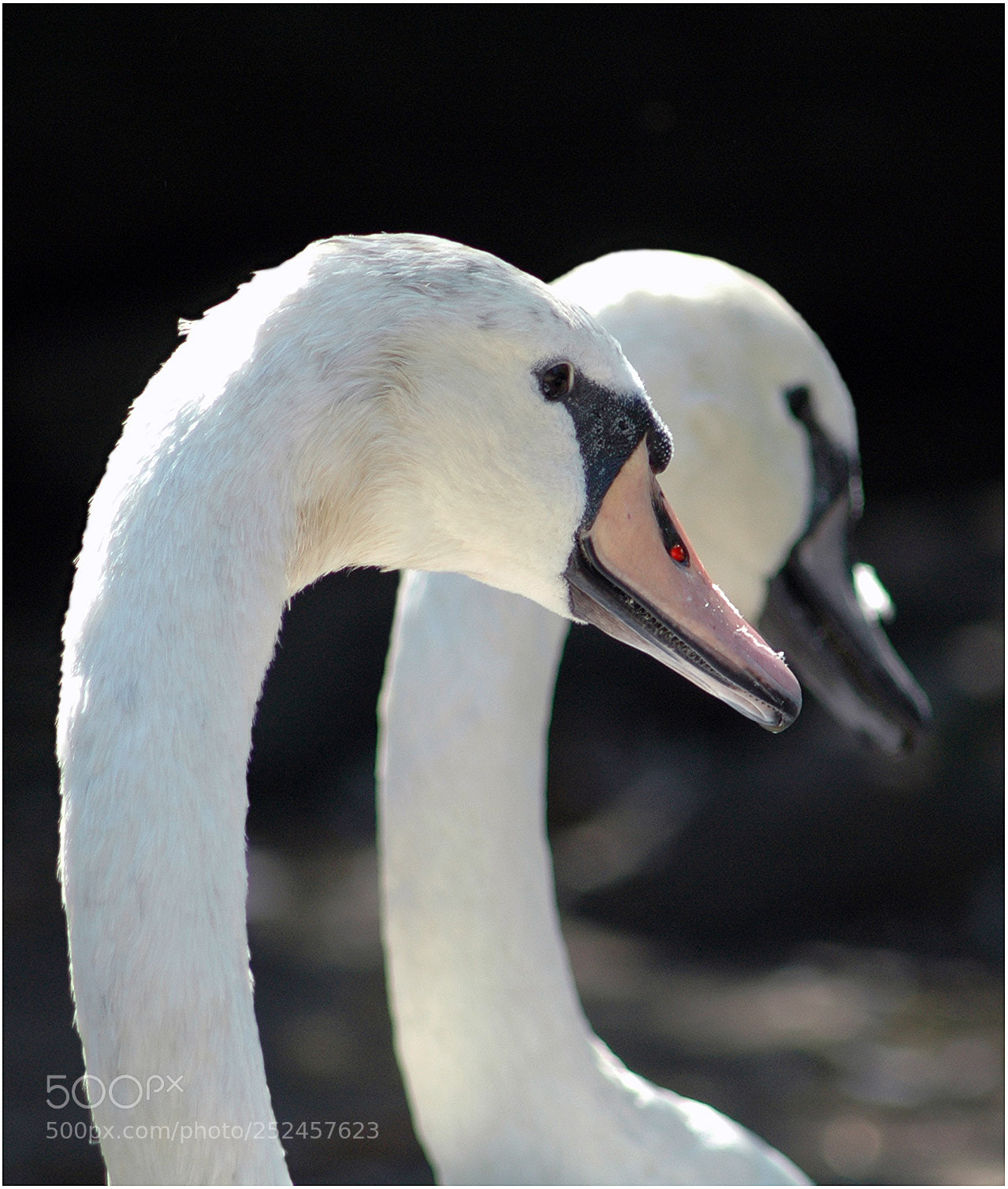 Nikon D70 sample photo. W photography