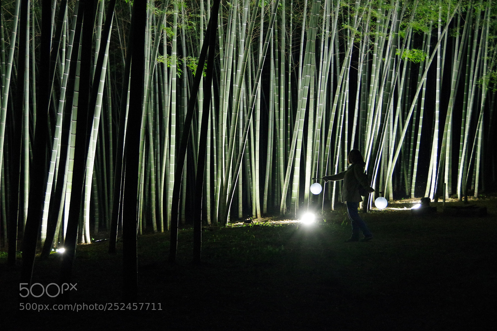 Pentax K-70 sample photo. Untitled photography