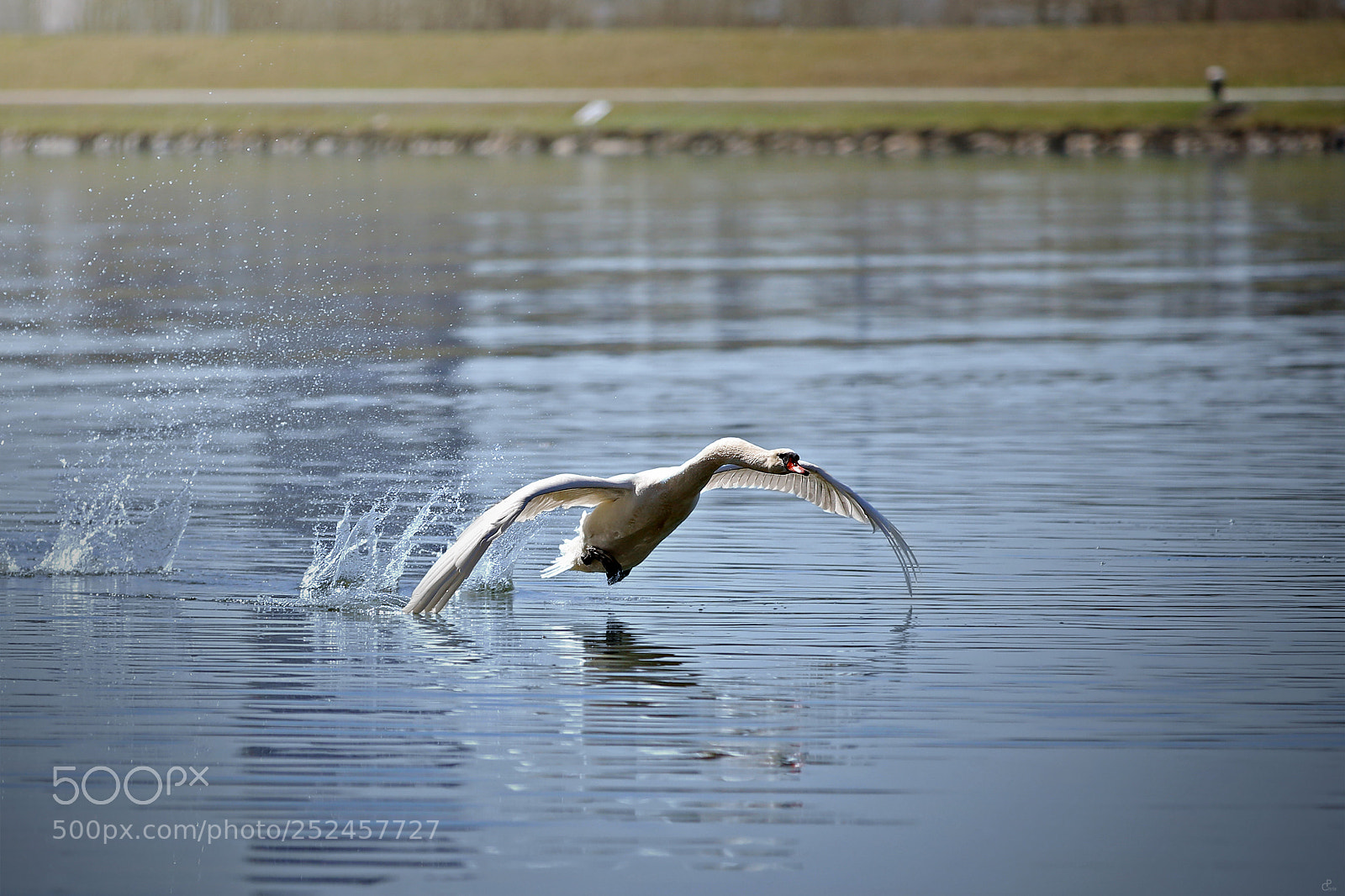 Canon EOS 5D Mark IV sample photo. Landing approach... photography