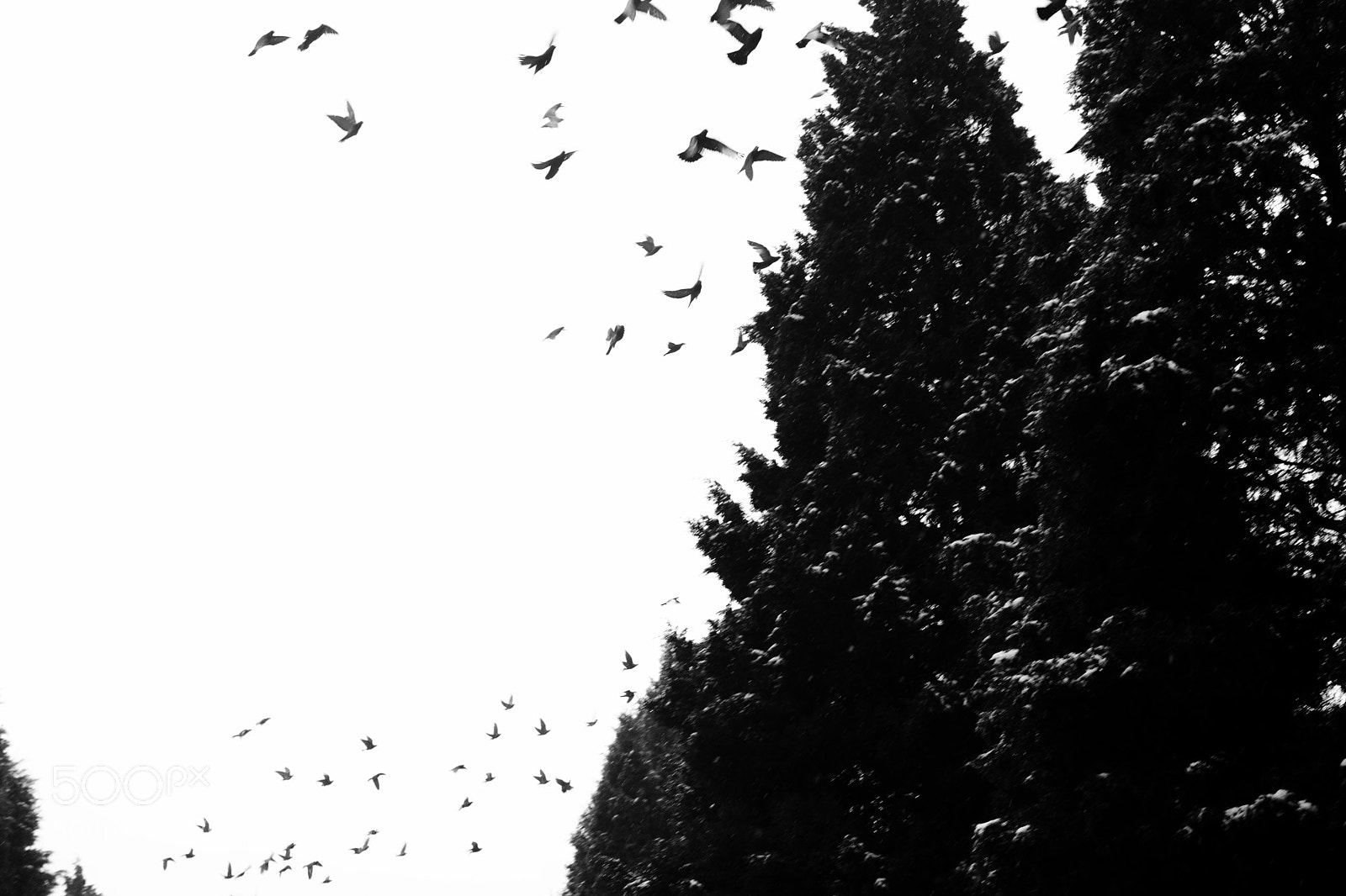 Nikon D7100 sample photo. Untitled photography