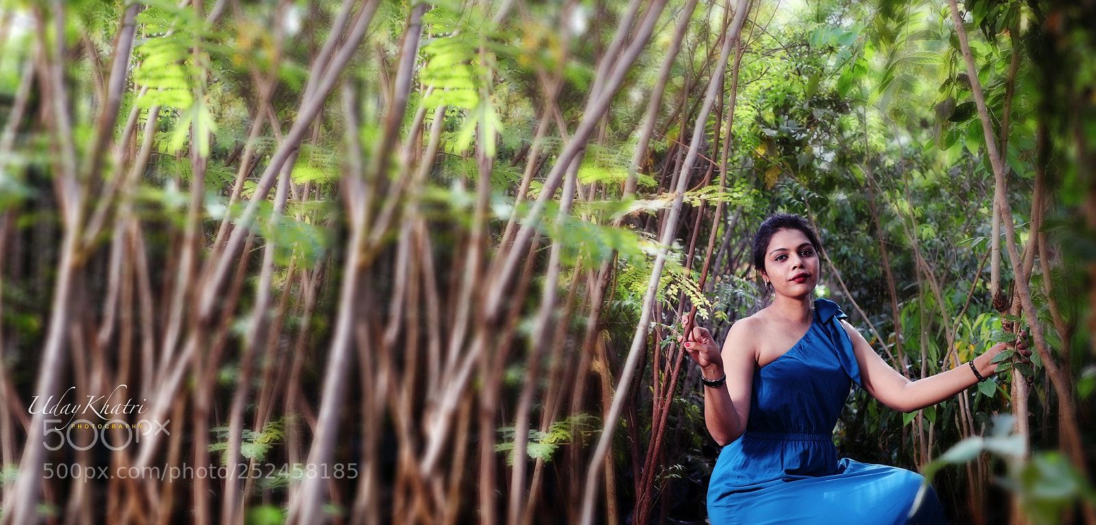 Canon EOS 5D Mark IV sample photo. Beauty in green photography