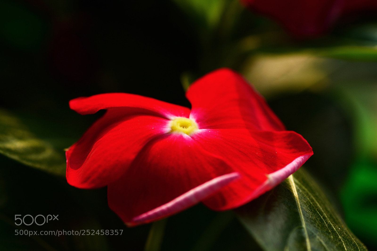 Nikon D7100 sample photo. Tctctilvdb photography