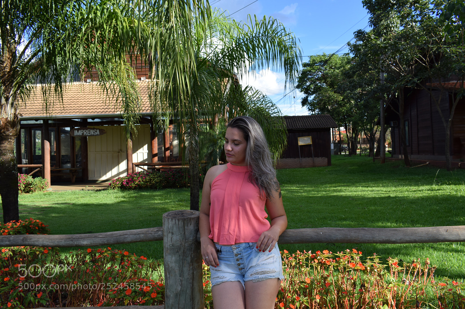 Nikon D3300 sample photo. Untitled photography