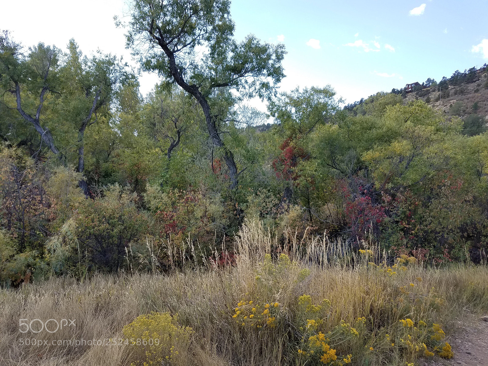 Samsung Galaxy S7 Edge sample photo. Changing seasons photography
