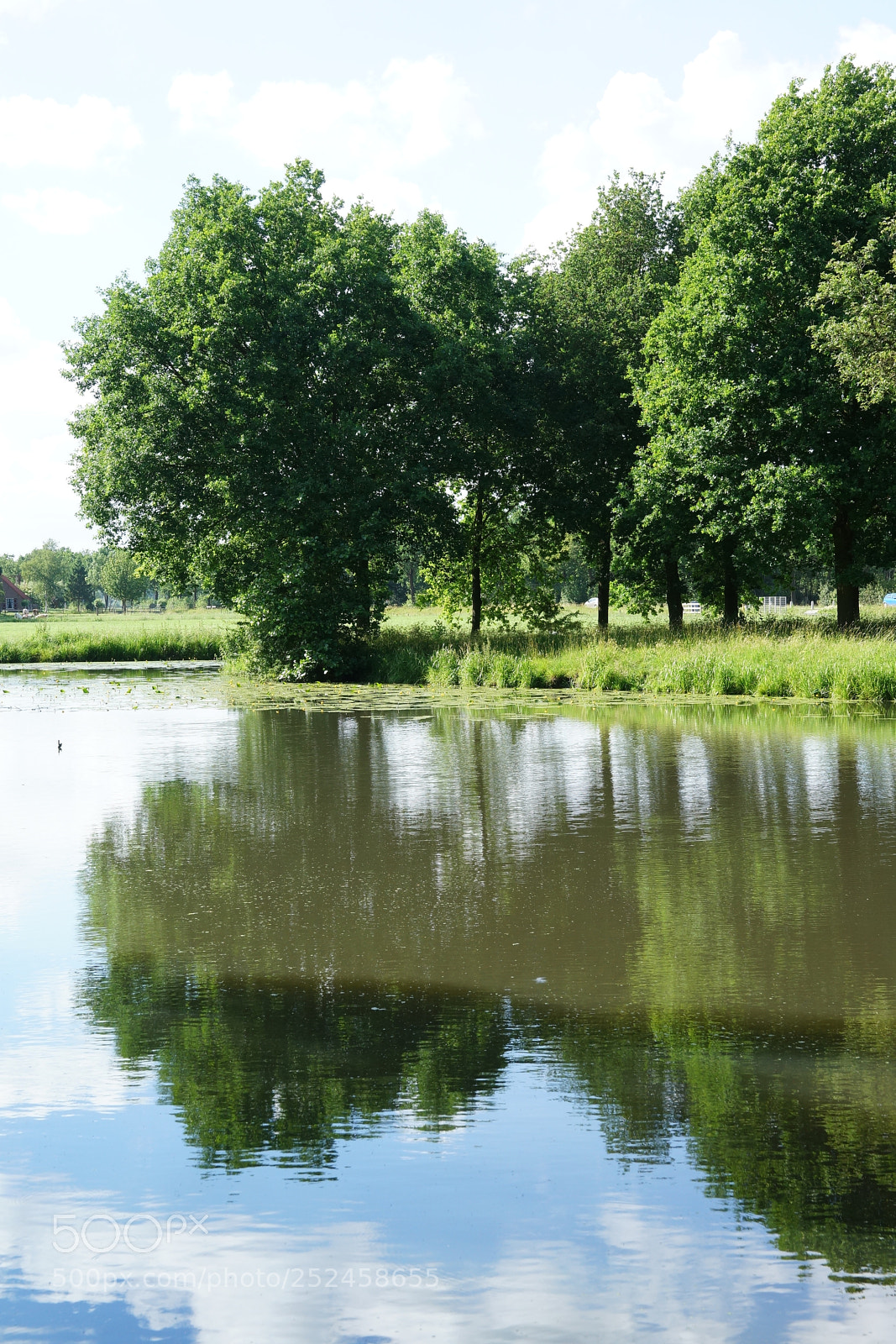 Sony SLT-A99V sample photo. Pond at castle sterkenburg photography