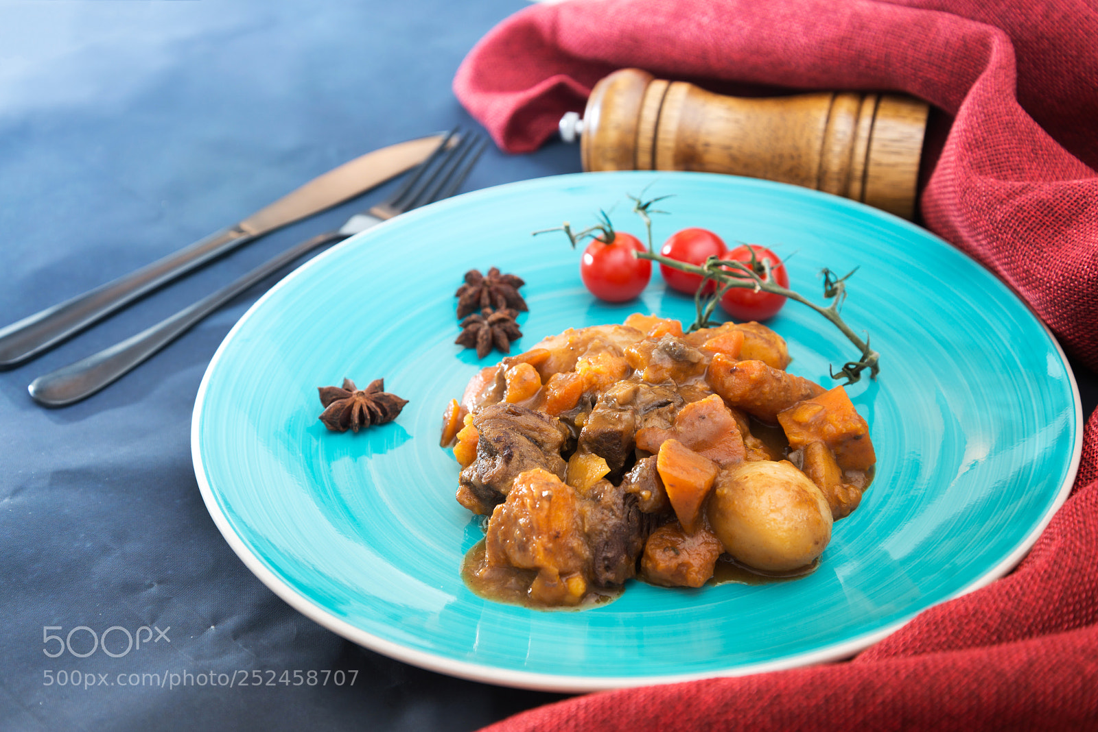 Nikon D800 sample photo. Beef stewed and carrots photography