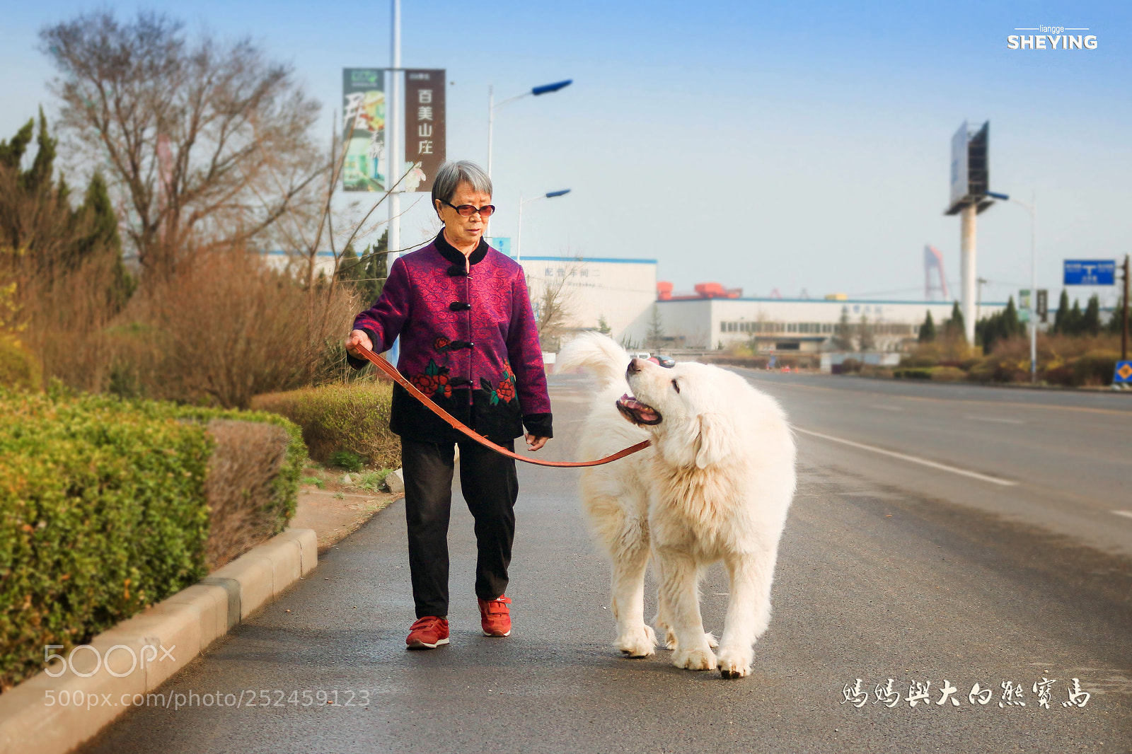 Canon EOS 700D (EOS Rebel T5i / EOS Kiss X7i) sample photo. 老人与犬 photography