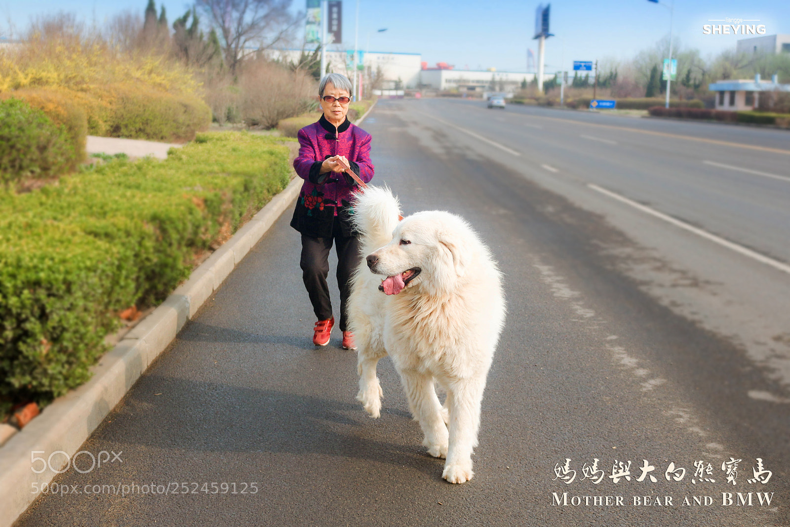 Canon EOS 700D (EOS Rebel T5i / EOS Kiss X7i) sample photo. 老人与犬 photography