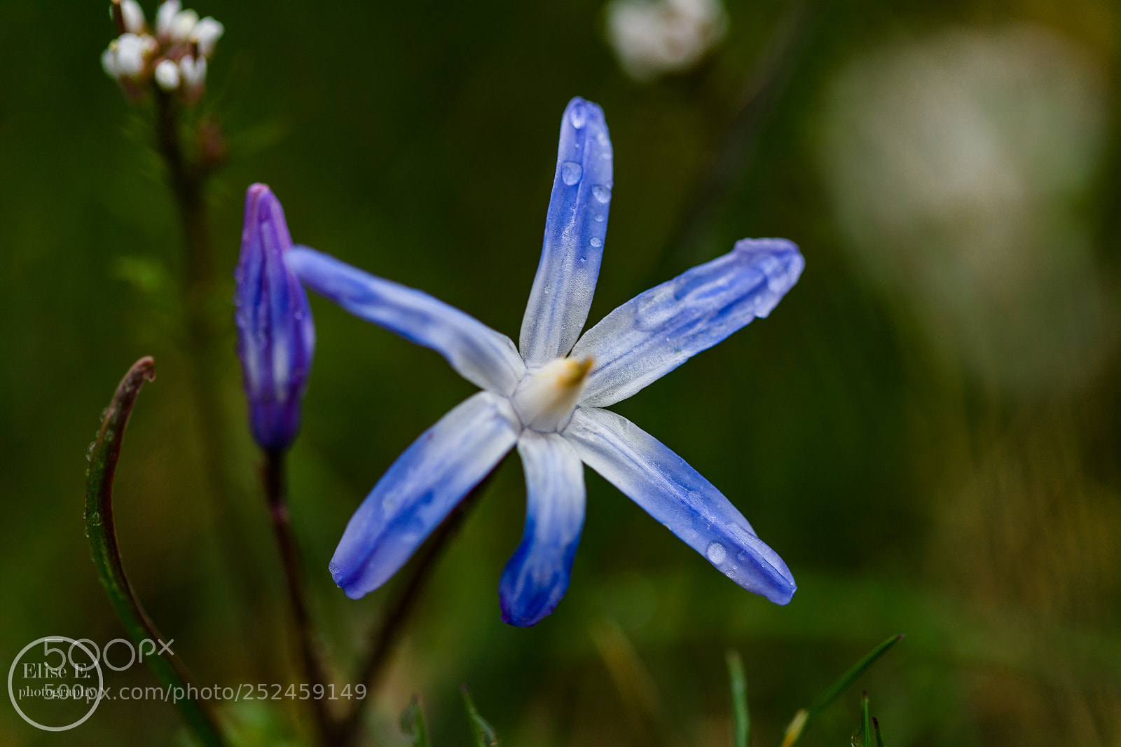 Canon EOS 6D Mark II sample photo. Untitled photography
