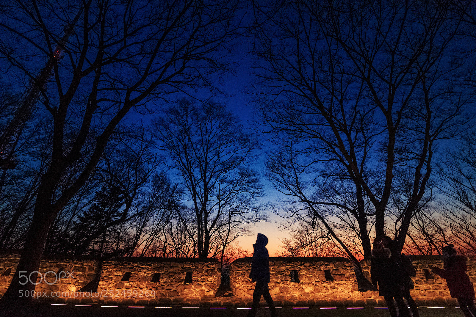 Canon EOS 70D sample photo. Sunset at namsan park photography