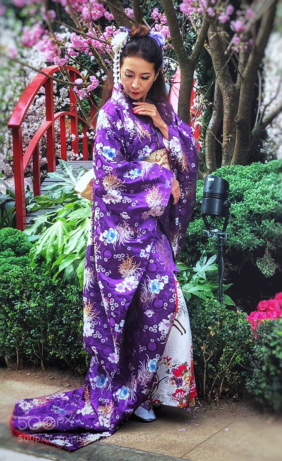 Apple iPhone 8 Plus sample photo. Sakura matsuri  photography