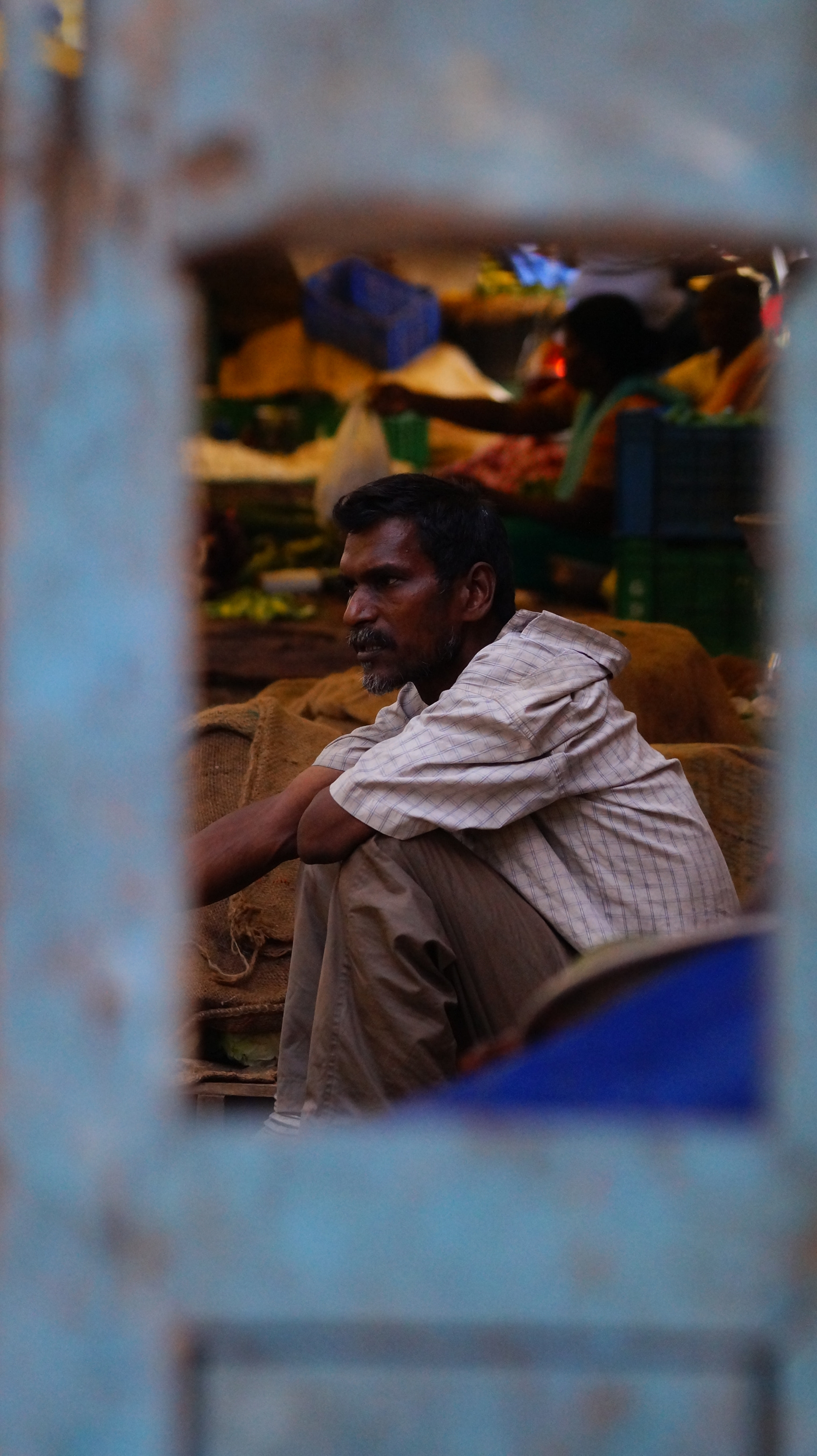Sony DT 55-200mm F4-5.6 SAM sample photo. A farmer photography