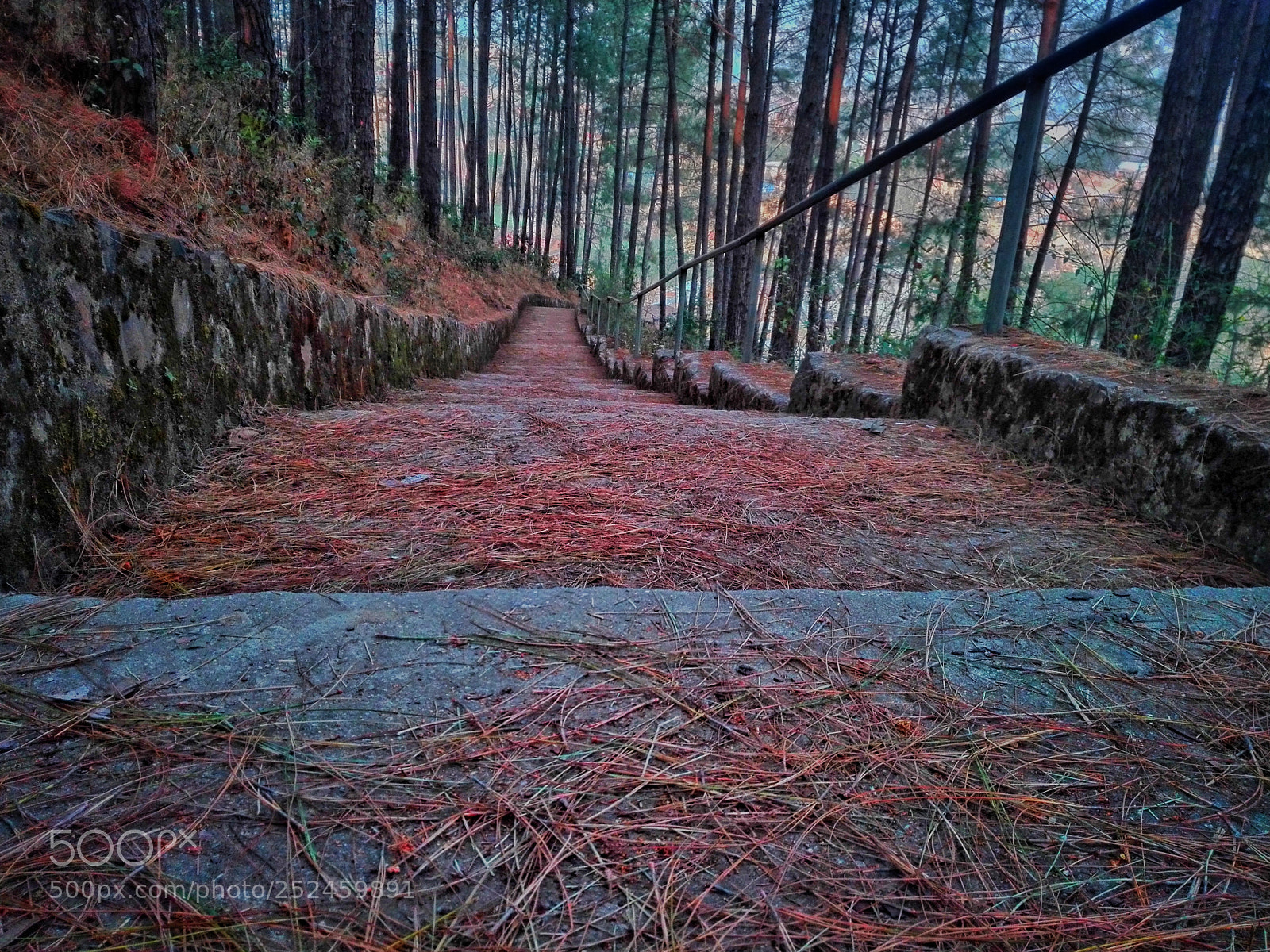 HUAWEI P8 Lite sample photo. Path photography