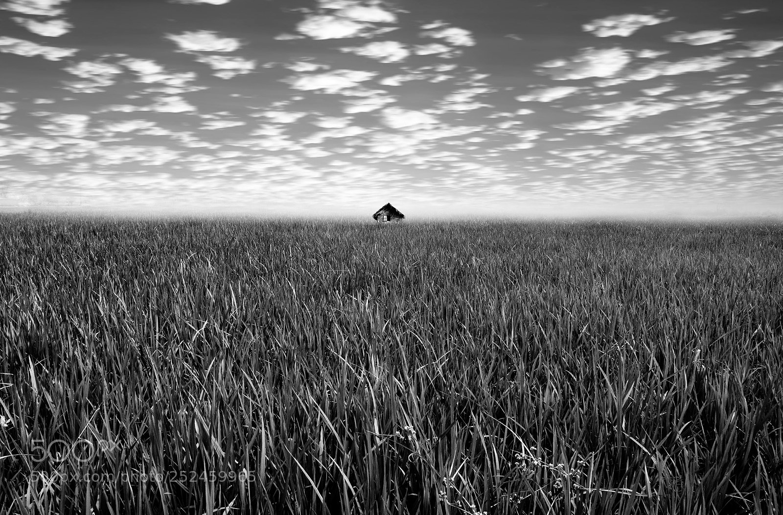 Nikon D7000 sample photo. Dream land photography