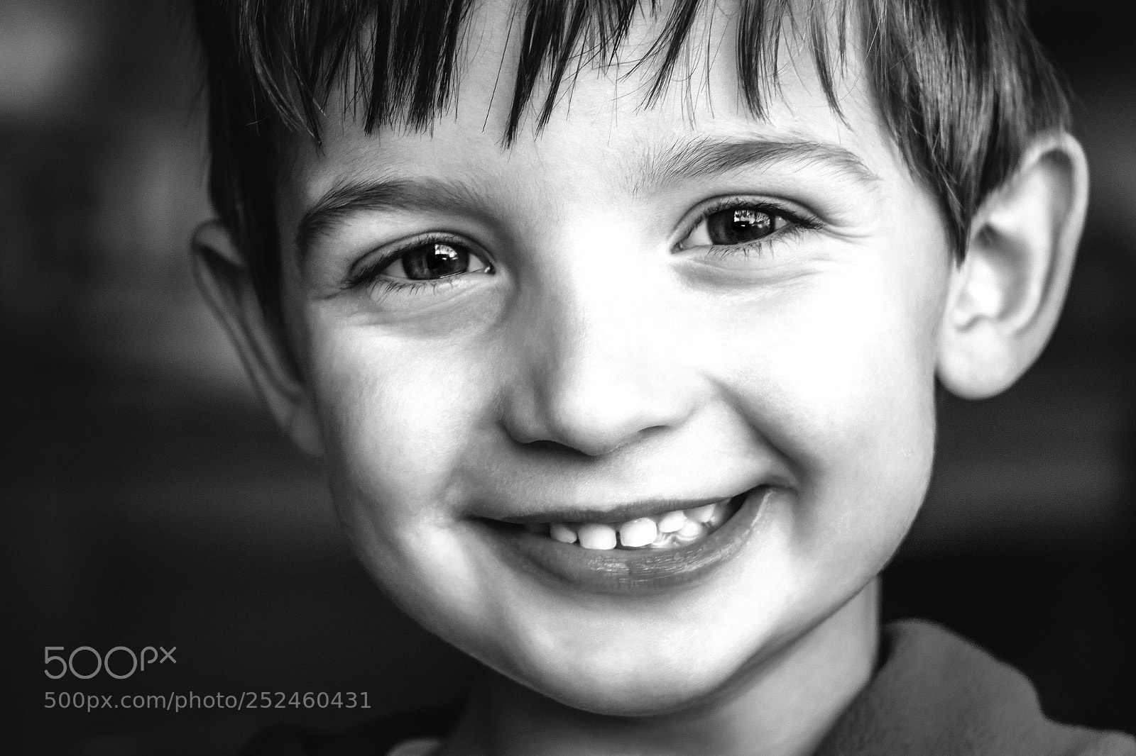 Canon EOS 7D Mark II sample photo. Andrej photography