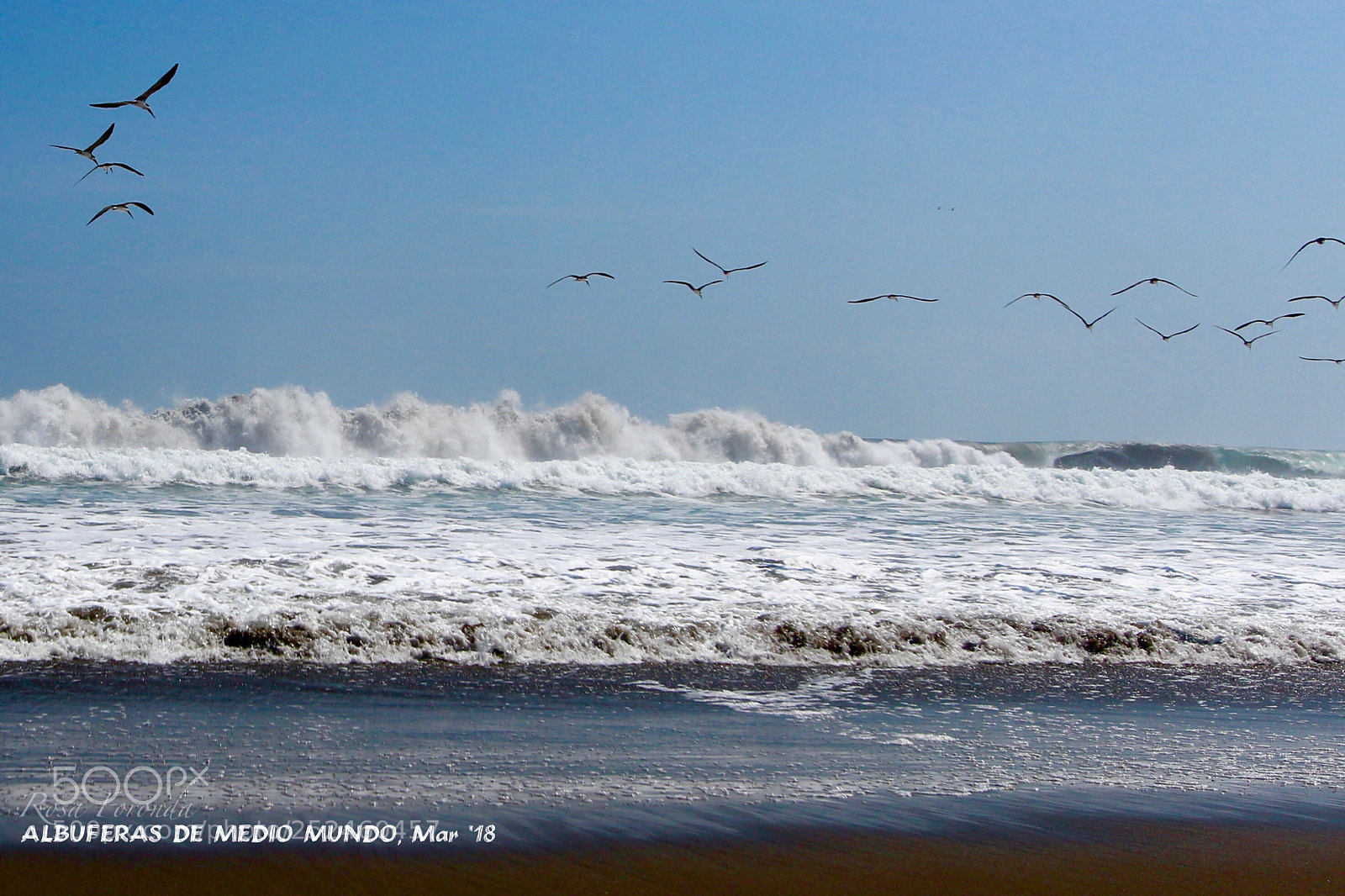 Canon EOS 700D (EOS Rebel T5i / EOS Kiss X7i) sample photo. #albuferasdemediomundo ? photography