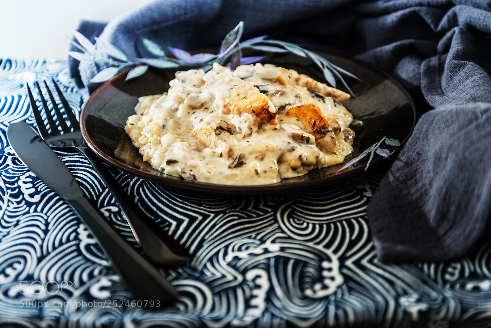 Nikon D800 sample photo. Tasty risotto with chicken photography