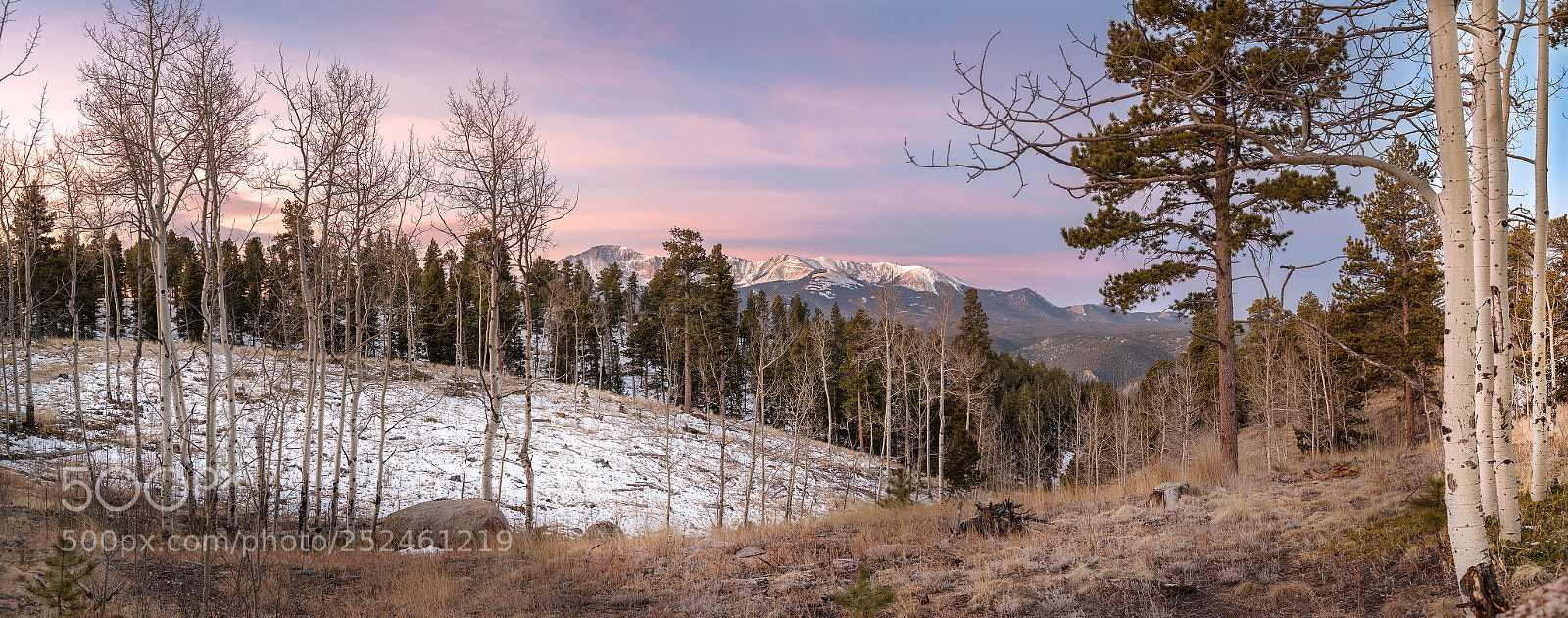 Nikon D850 sample photo. Morning in the mountains photography