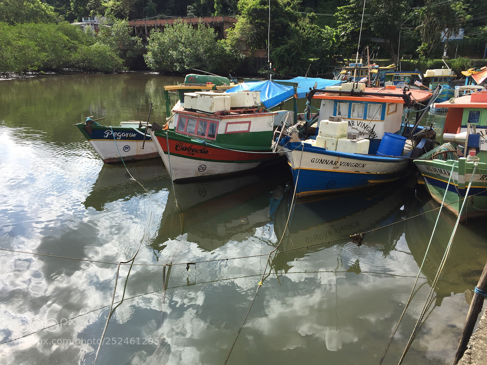 Apple iPhone 6 sample photo. Untitled photography