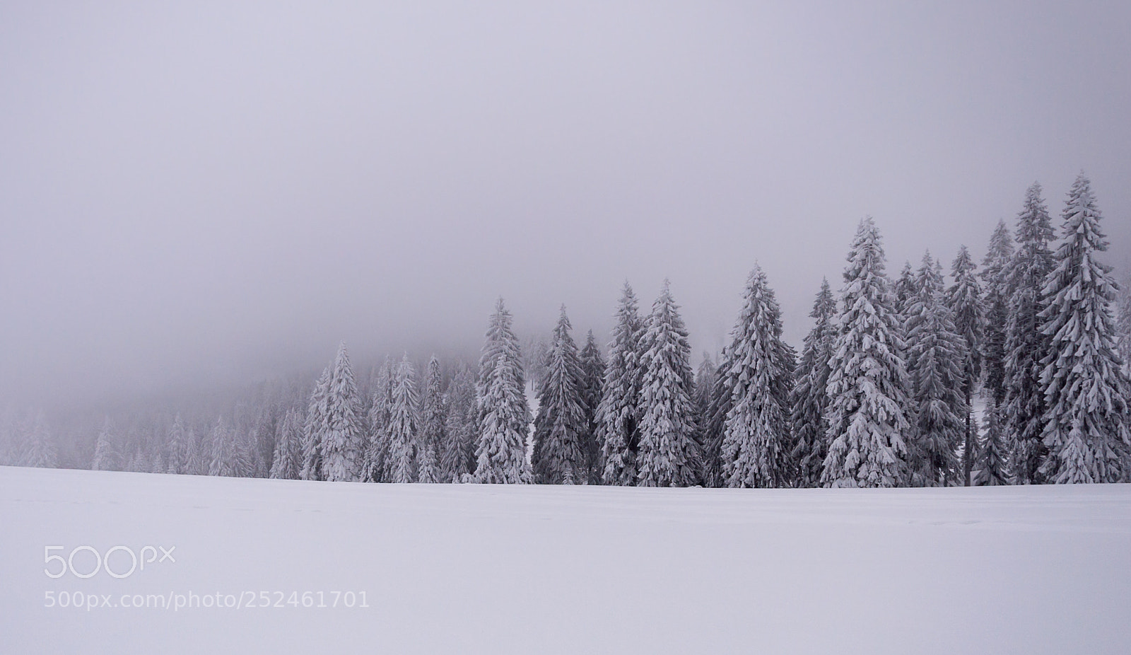 Nikon D90 sample photo. Colors of winter photography