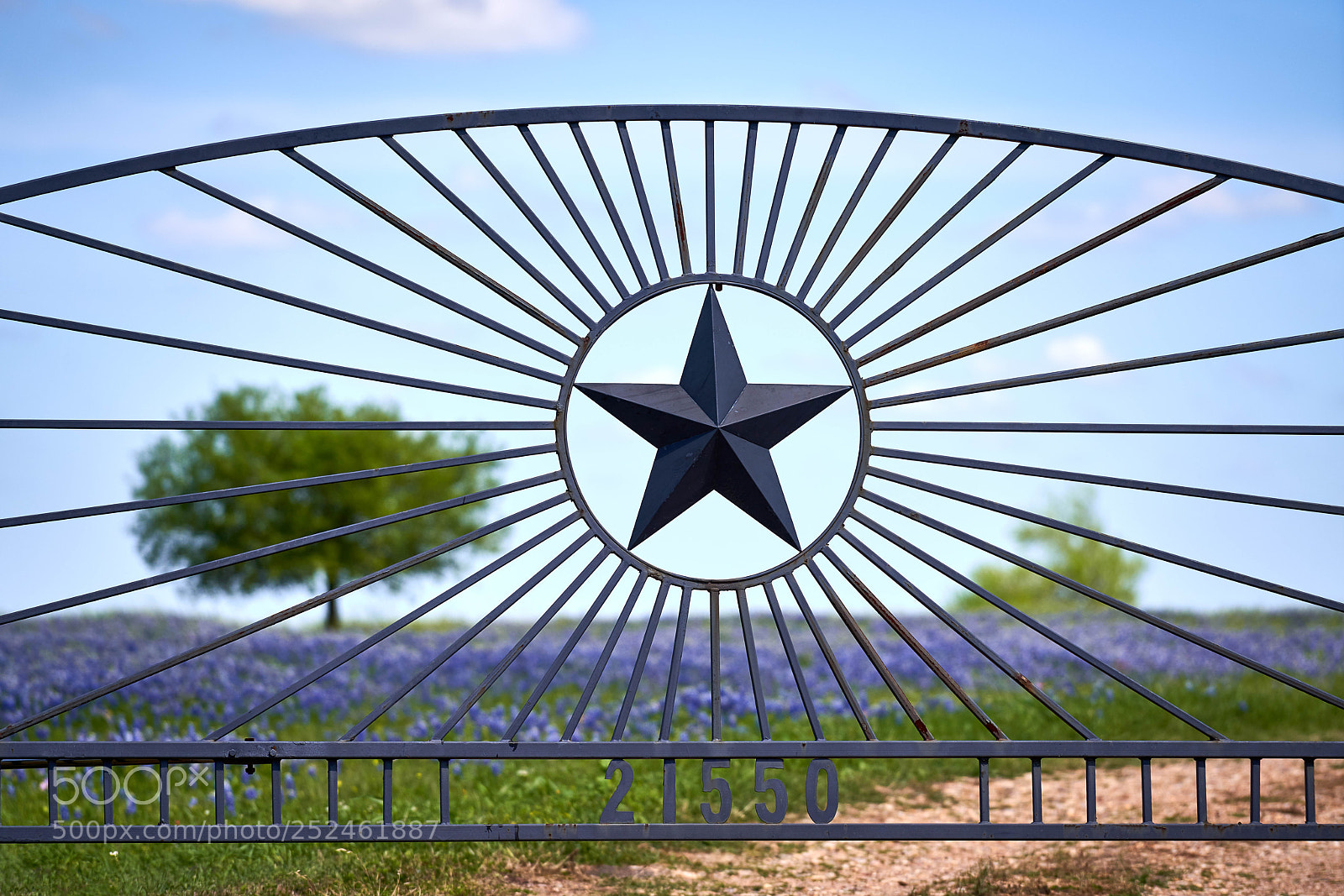 Sony a7R III sample photo. Ranch gate star photography