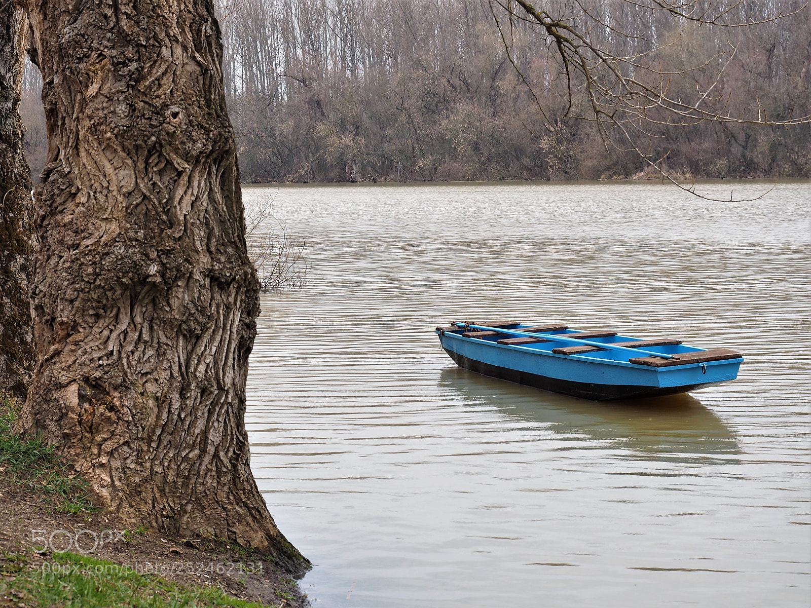 Olympus OM-D E-M5 II sample photo. Disengagement photography